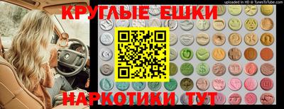 молекула духа Берёзовский