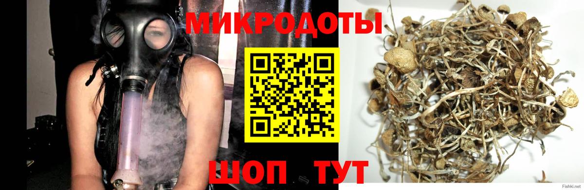 Галлюциногенные грибы MAGIC MUSHROOMS Белая Калитва